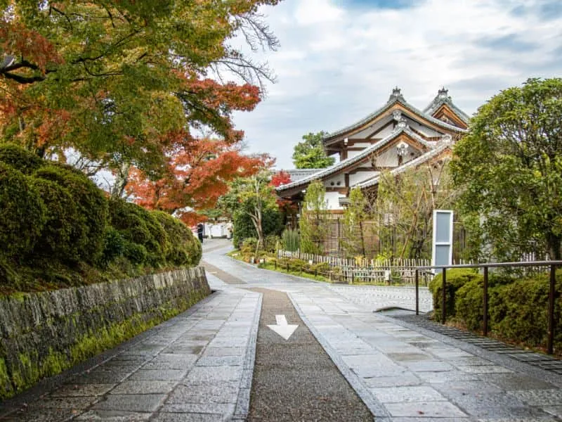 Tour Jepang Budget 10 Juta: 7 Hari di Tokyo, Kyoto, Osaka!