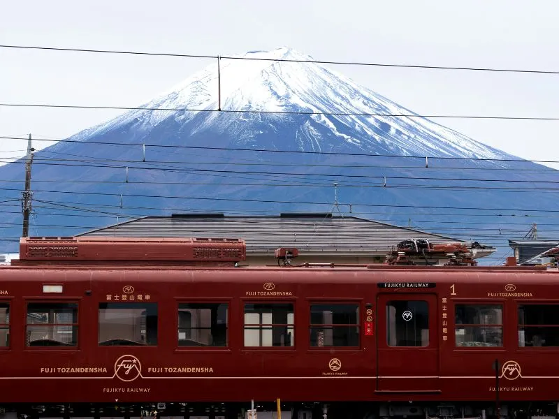Tour Jepang Bulan Maret 2026 Sakura - Mulai 20 Jutaan