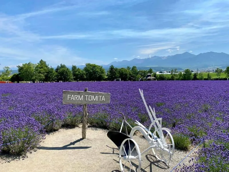 Tour Jepang Hokkaido 2025, Harga Mulai 17jtan!