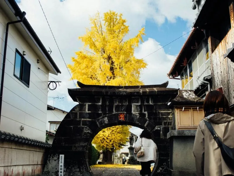 Tour Jepang Kyushu: Itinerary Lengkap & Harga Terjangkau!