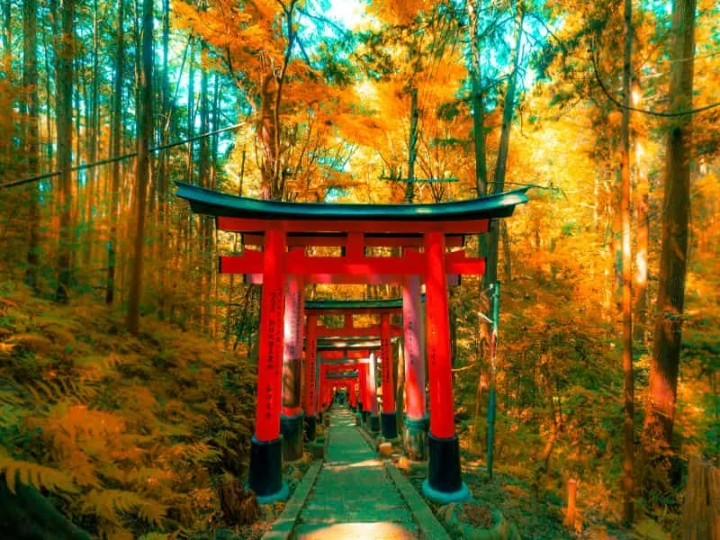 Tour Jepang Lebaran 2026 – Mulai Rp 23 Jt!