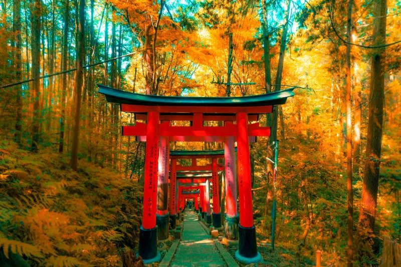 tour-jepang-lebaran-2026_large.jpg