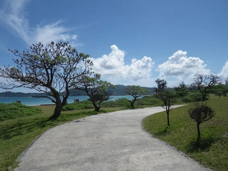 Jelajahi Pesona Tropis: Tour Jepang Okinawa Bersama Callista Tour