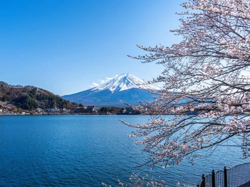 Tour Jepang Tanpa Tiket Pesawat – Harga Mulai 8 Juta!