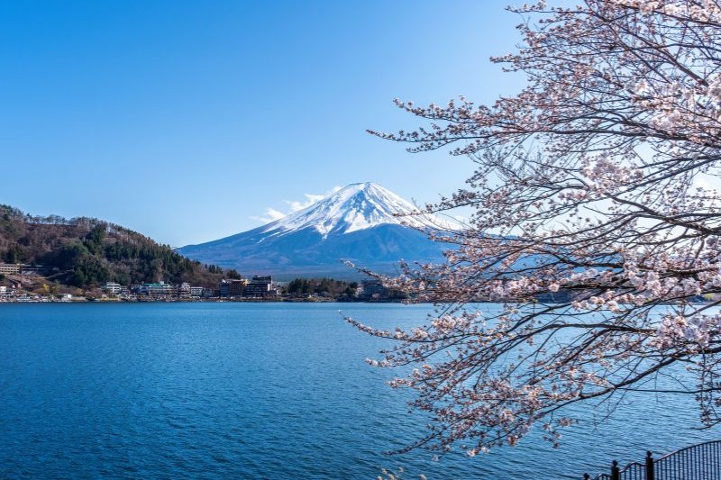 tour-jepang-tanpa-tiket-pesawat_large.jpg