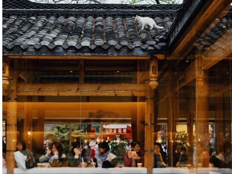 Tour ke China 2025 Terbaru: Destinasi Hits + Hidden Gems!