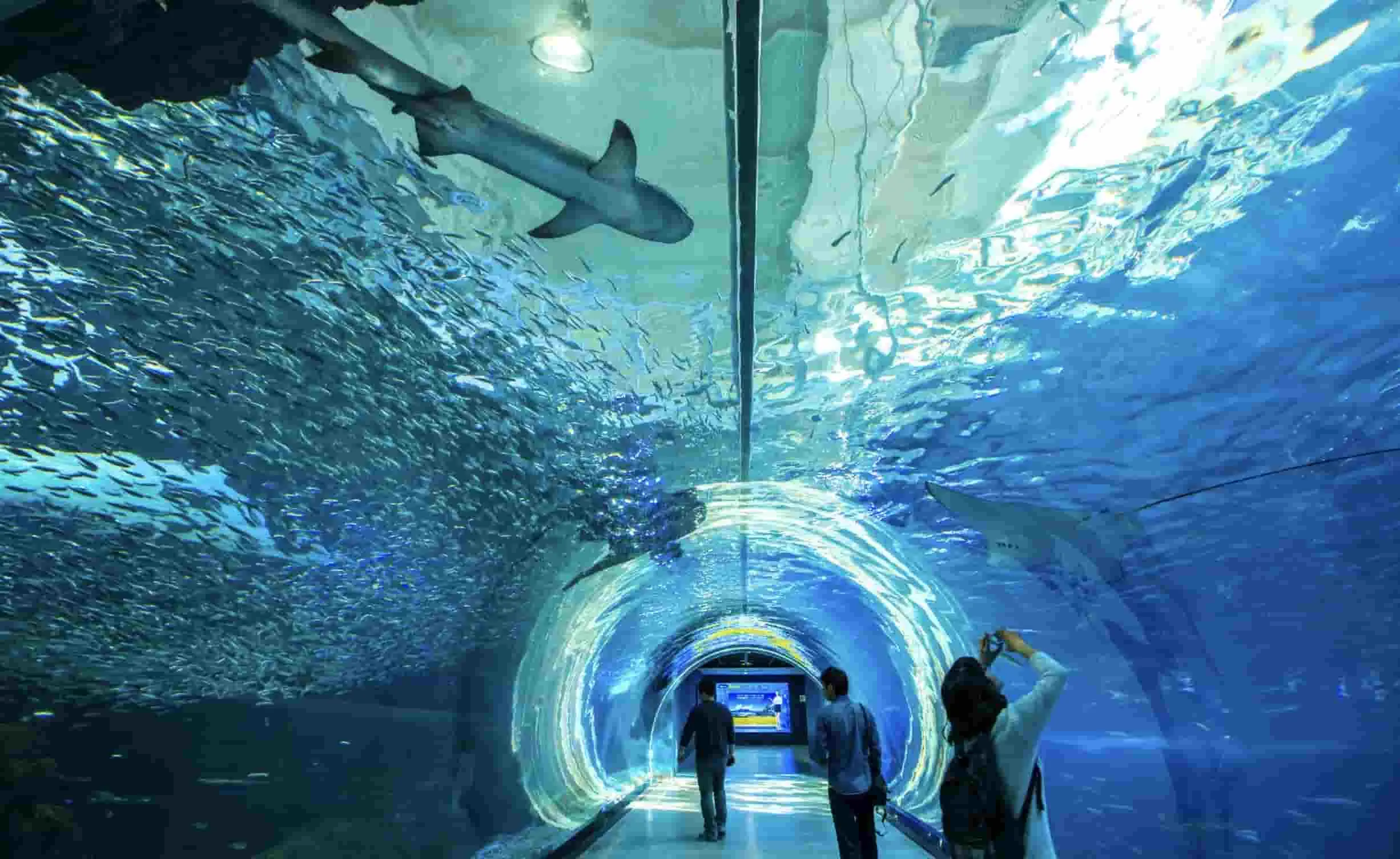 Tour Ke Korea: Destinasi Wisata Korea, Seoul, Busan Hingga Jeju Island 2023