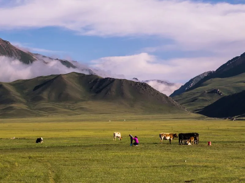 Tour ke Xinjiang China 2026 - Mulai 28 Juta