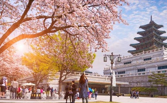 Tour Korea 2023, Oktober-Desember by Vietnam Airline (Wh03)
