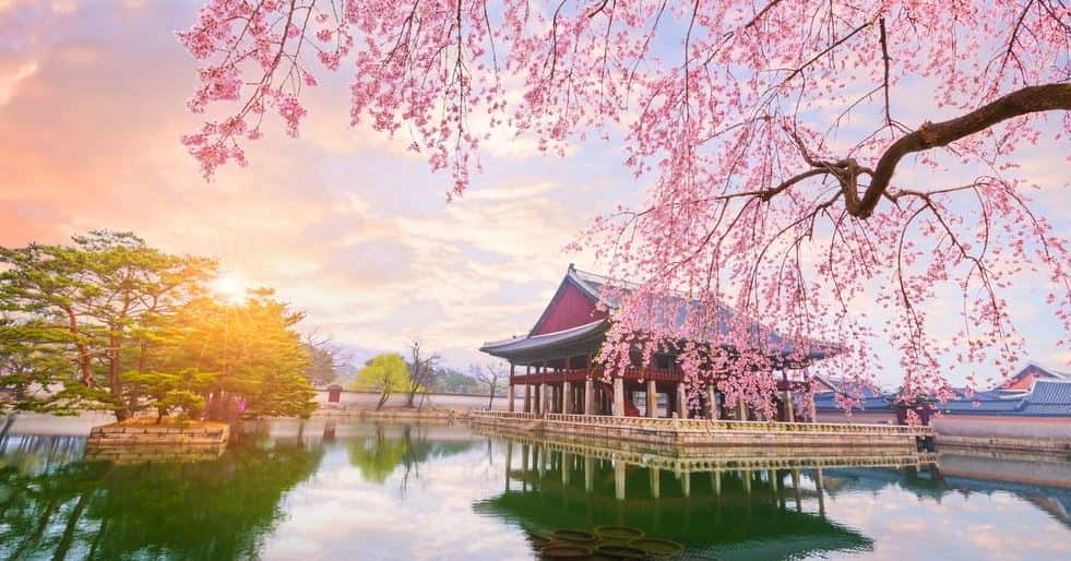 7 Destinasi Tour Korea 2024 Paling Ditunggu, Unik dan Instagramable