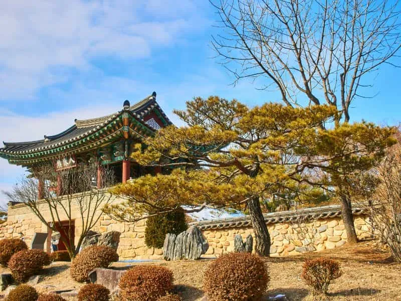 Tour Korea 4 Hari 3 Malam? Mulai 12 Jutaan!
