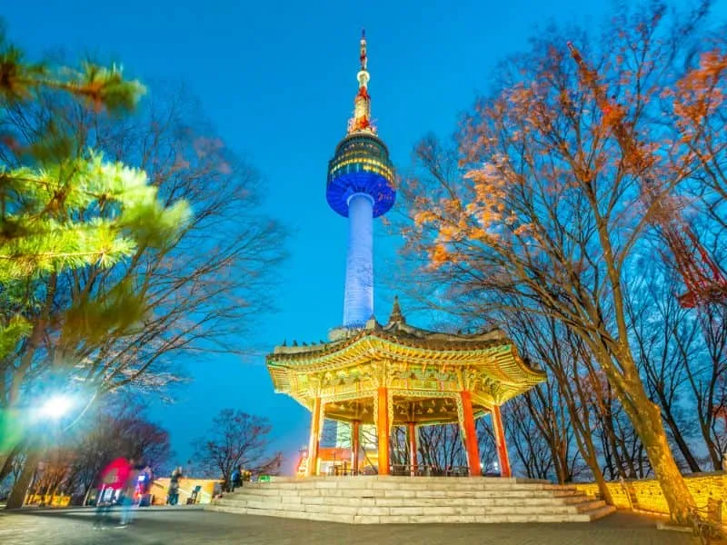 Tour Korea April 2025: Sakura Mekar, Mulai 10 Jutaan!