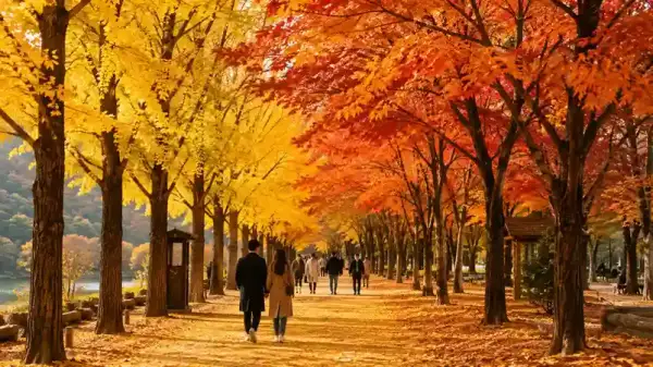 Jadwal Nami Island Musim Gugur di Korea 2026