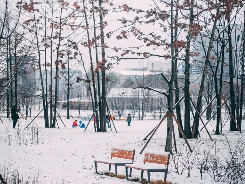 Tour Korea Hemat, Harga Mulai 16 Jutaan Aja!