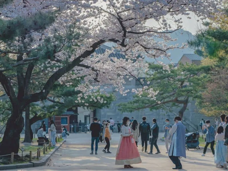 Tour Korea Hidden Gems: Itinerary & Destinasi Terbaik 2025