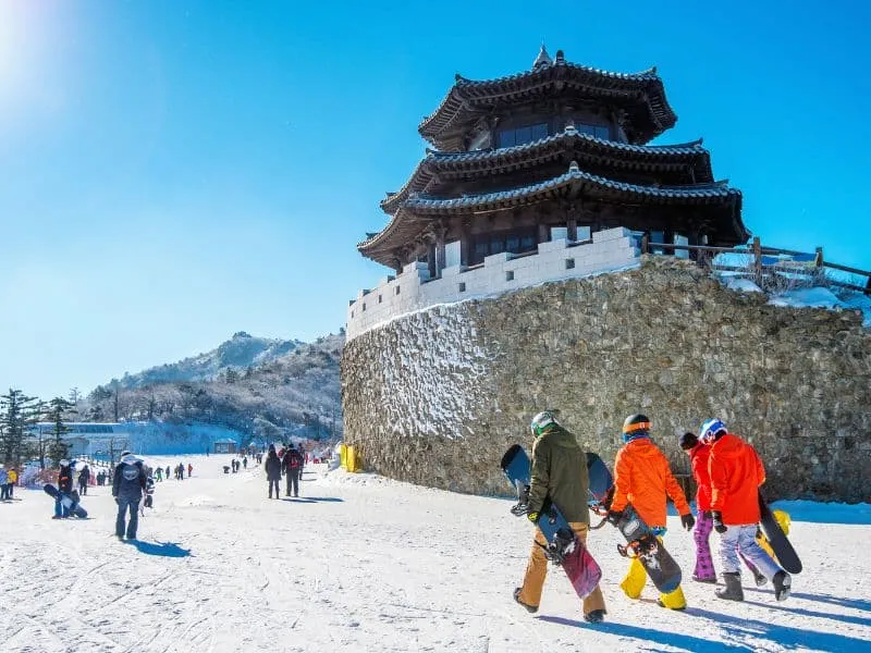 Tour Korea Januari 2026 – Mulai 12 Jutaan