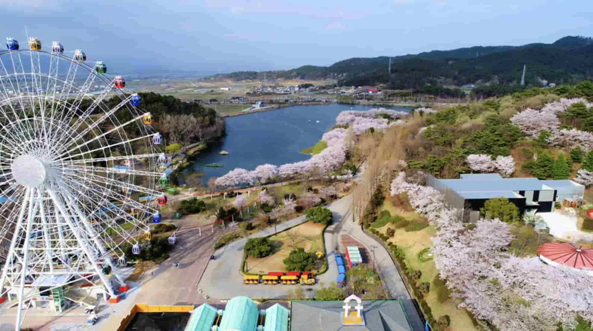Paket Tour Korea Murah 2026 – Mulai Rp 11 Juta!