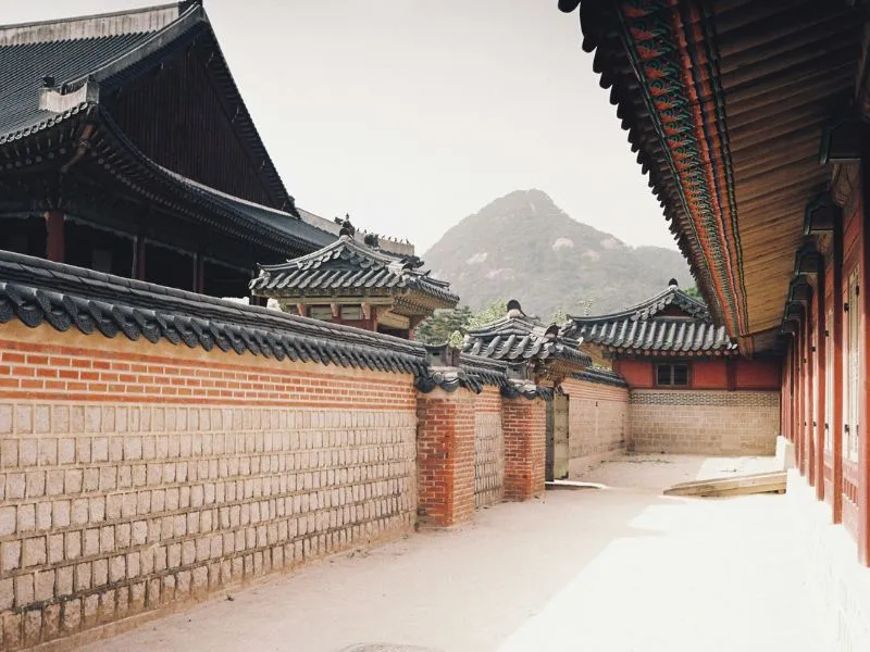 Tour Korea Rekomendasi: Paket Liburan Seru 2025!