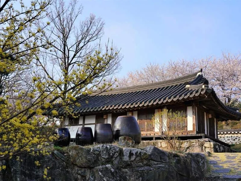 Tour Korea Selatan Highlights - 7 Destinasi Terbaik untuk Liburan Seru!