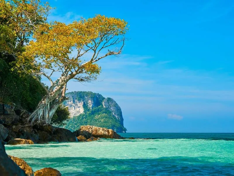 12 Tour Wisata Krabi dan Aktivitas Favorit Thailand Selatan