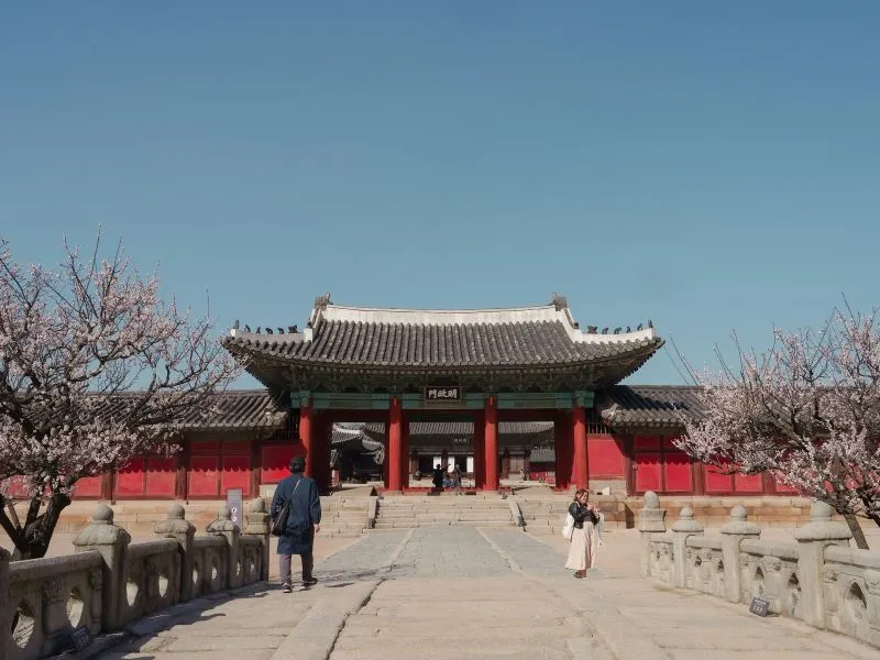 Tour Lokal Korea Selatan 2026: Destinasi & Harga