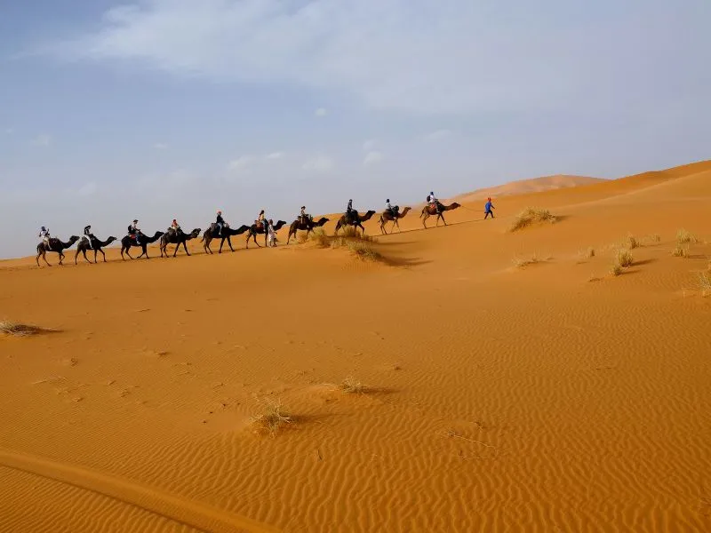Tour nel Deserto Dubai - Rasakan Serunya Petualangan Gurun!