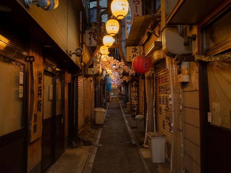 Tour Travel ke Jepang 2025 - Harga Terbaik & Paket Seru!