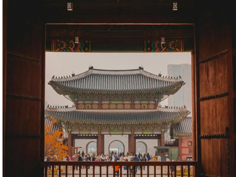 Tour Travel Ke Korea Terpercaya, Harga Mulai 12Jt!