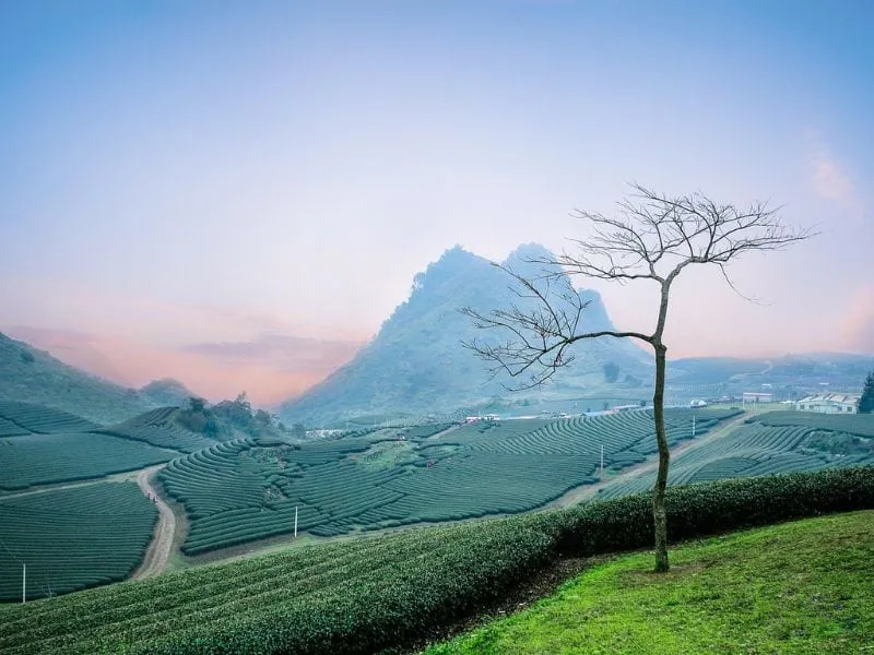 Tour Vietnam Highlight, Liburan Seru Mulai 7 Jutaan!