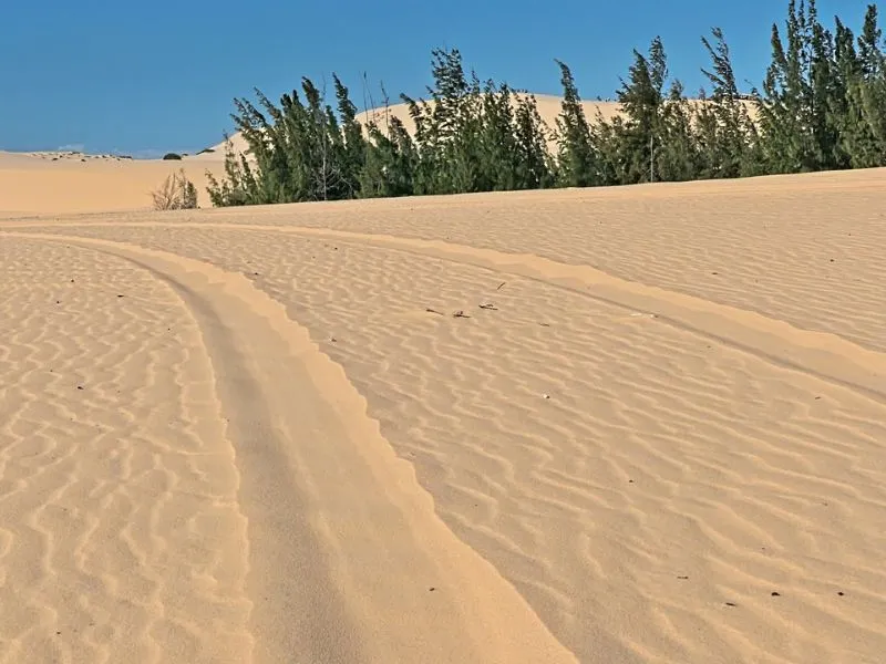 Tour Vietnam Selatan: Petualangan Seru di Ho Chi Minh, Mekong Delta, dan Mui Ne!
