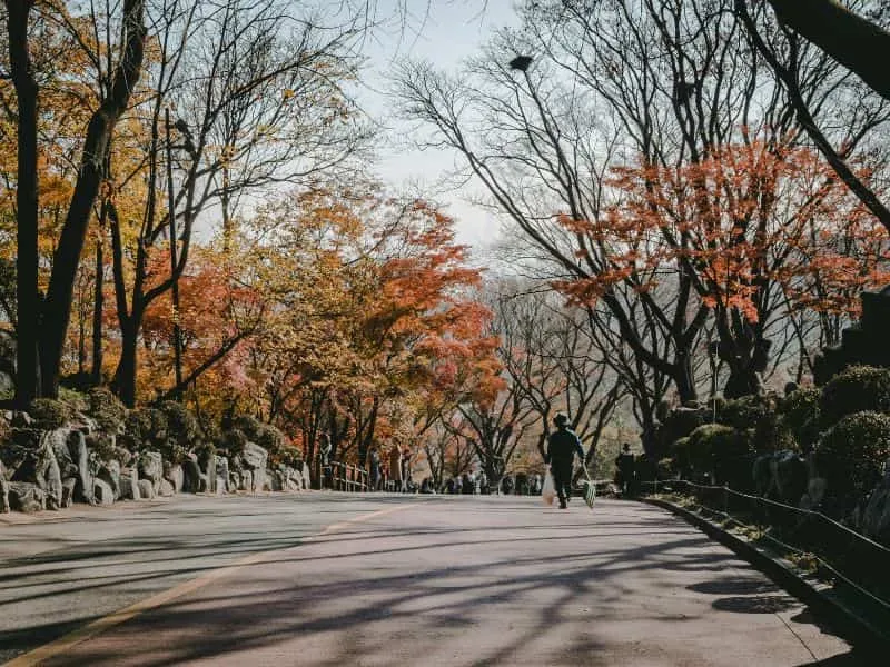 Travel Agent Korea di Jakarta, Mulai 19jt-an Aja!