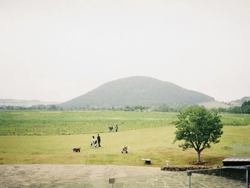 travel-jeju-island.webp