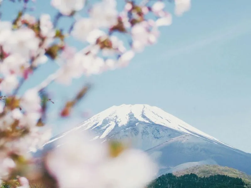Travel Ke Jepang Berapa? Cek di Callista Tour!