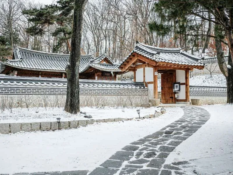 Travel Korea Seoul | Explore Keindahan Negeri Ginseng!