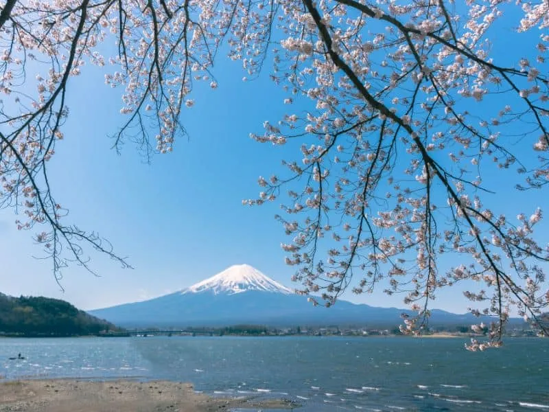 Travel Tour ke Jepang 2025 – Harga Mulai 15 Jutaan!