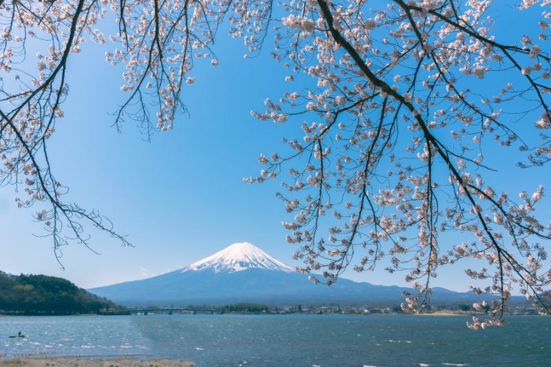 travel-tour-ke-jepang_large.jpg