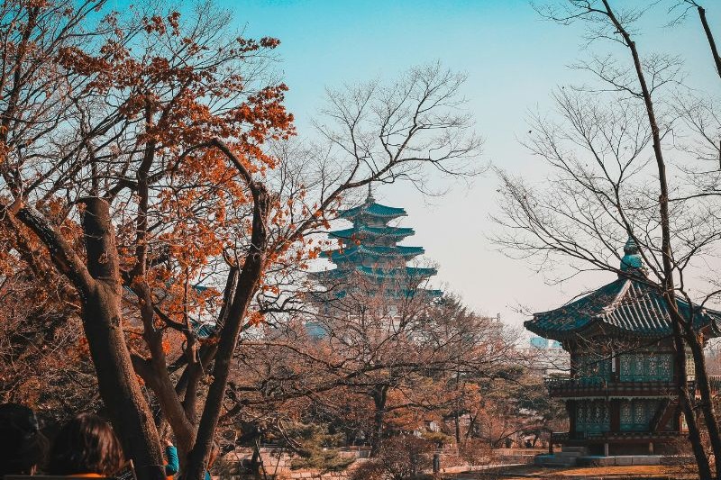 travel-tour-ke-korea_large.jpg