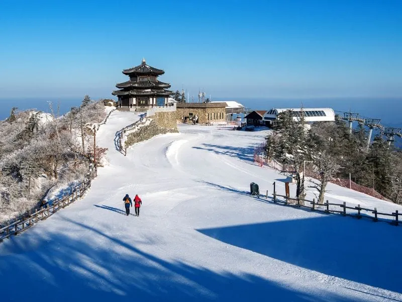 Promo Trip Jepang Murah Musim Dingin Main Salju | Cek Destinasi!