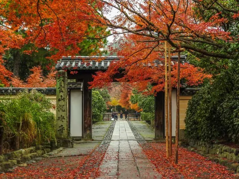 Trip Jepang Travel Rekomendasi Murah? Mulai Rp 12 Juta!