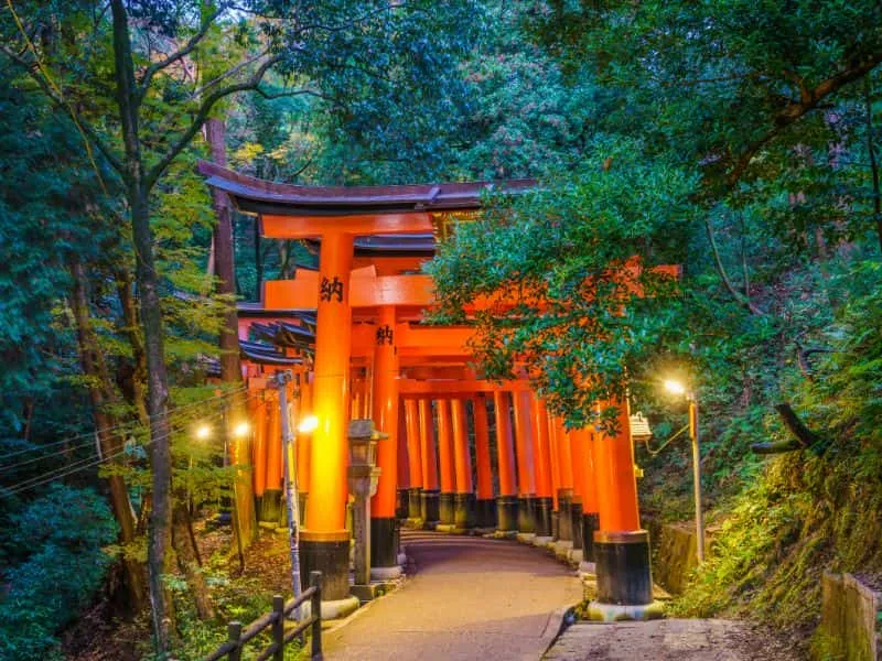 Trip Jepang Travel Hemat | Paket Tour Mulai 12 jutaan/Promo!