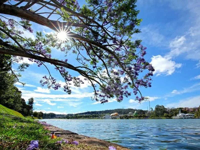 Trip ke Dalat Vietnam yuk Bersama Callista Tour!