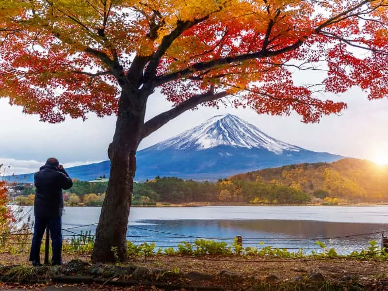 6 Destinasi Trip ke Jepang November - Musim Gugur Tour!