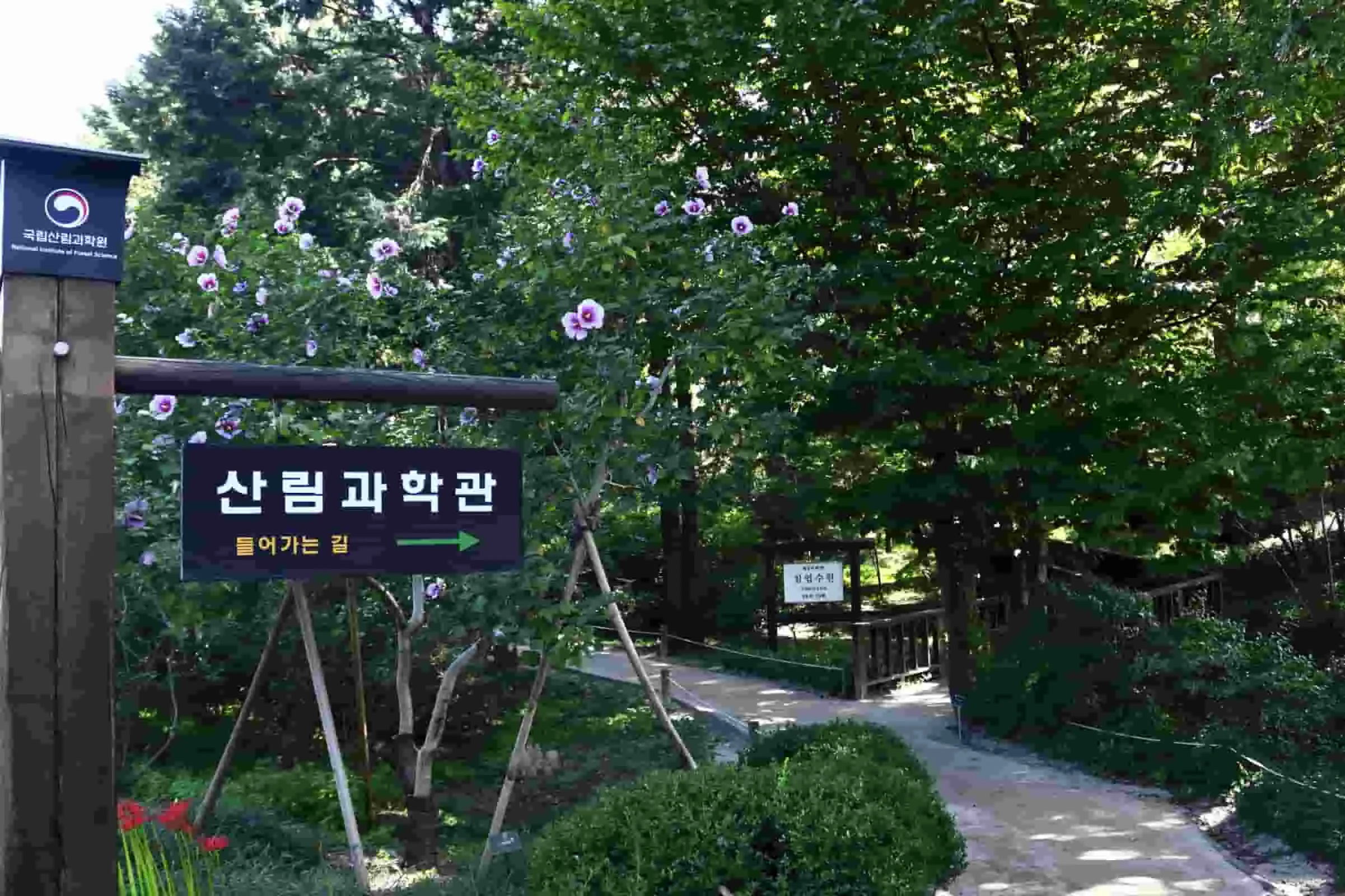 Trip Ke Korea Blog: 5 Destinasi Wisata Paling Terkenal di Distrik Dongdaemun