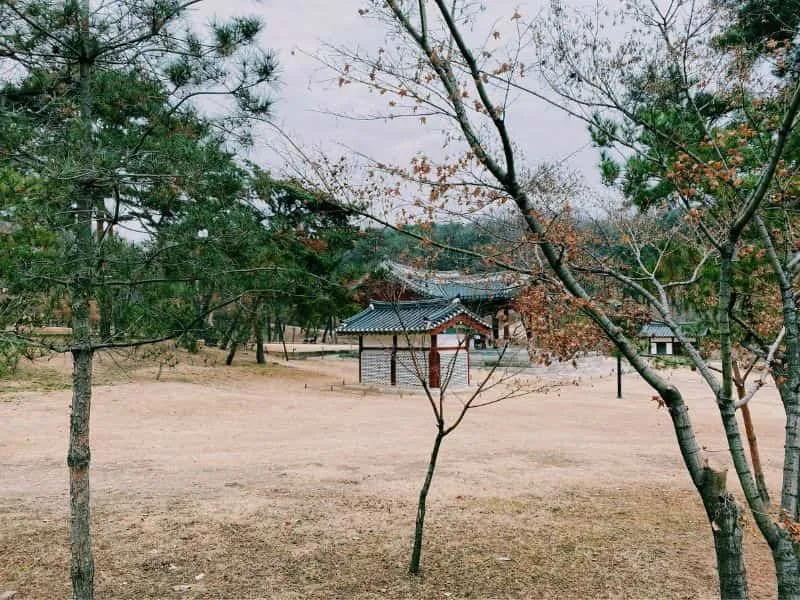 Trip ke Korea November - Autumn Favorit Tour