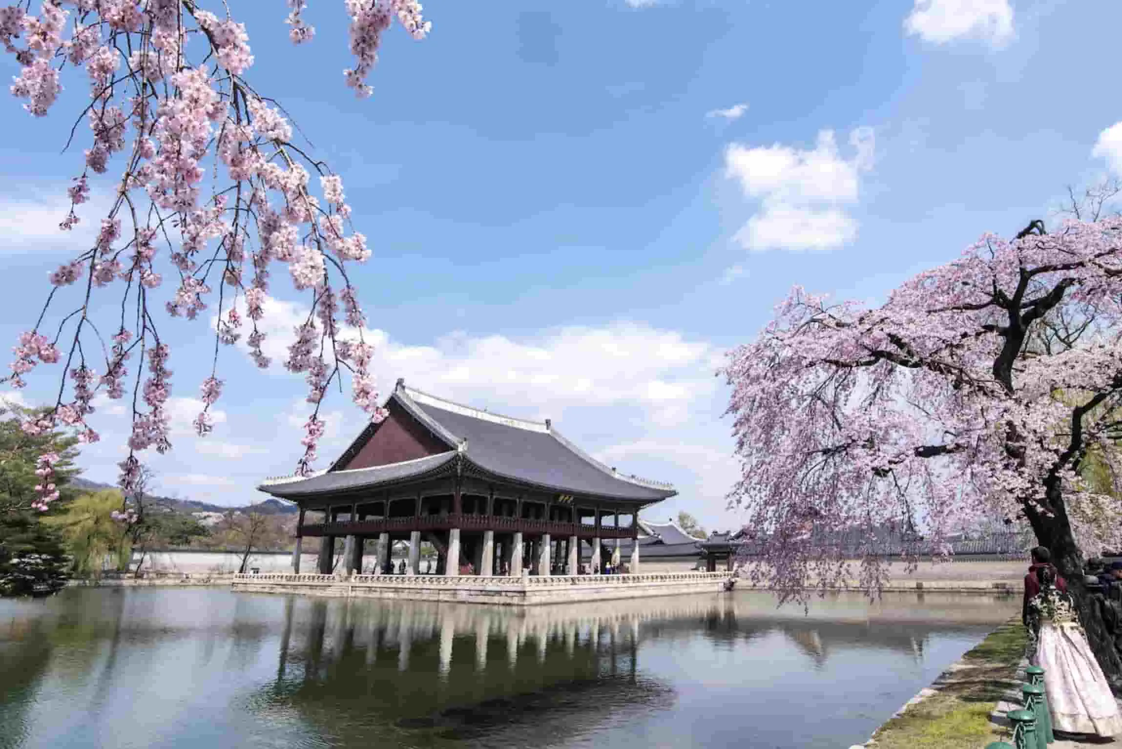 6 Wisata Trip Ke Korea Pada Musim Semi, Recommended Banget!