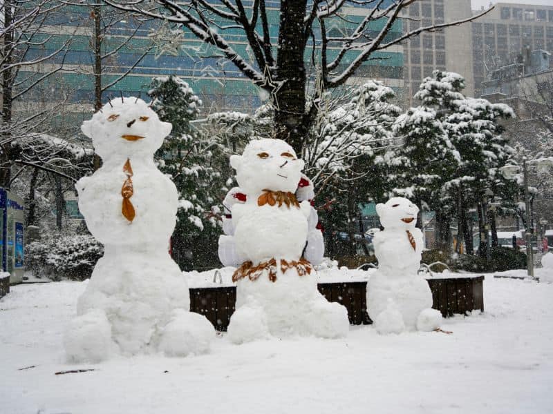 Trip Korea 8 Hari Seoul Busan Jeju Winter Edition | Callista Tour
