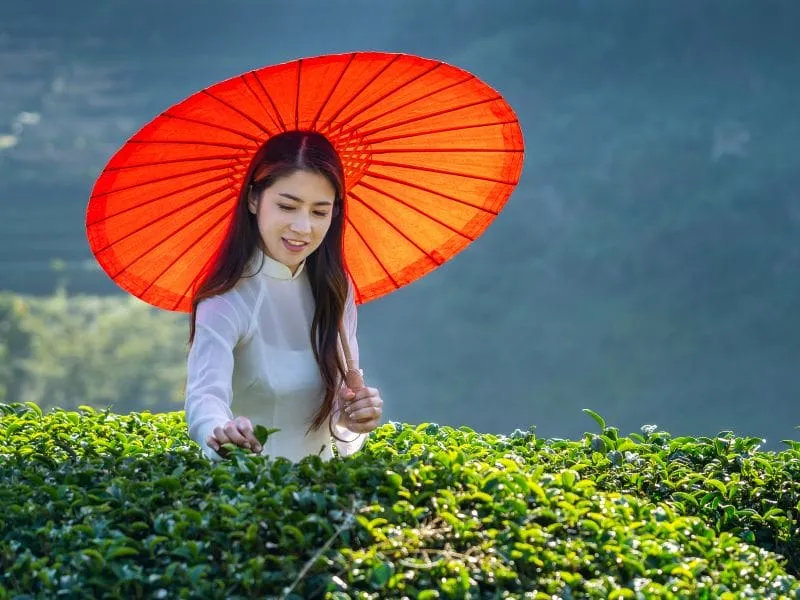 Vietnam Grand Tour Hanoi to Saigon – Mulai 9 Jutaan!