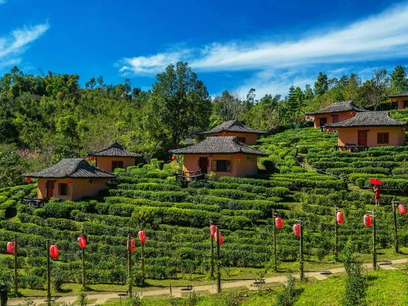 Vietnam Tour Da Lat-Buon Ma Thuot | Harga Mulai 8 Juta!