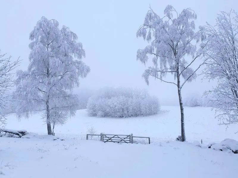 Winter in Perth Australia Mulai 19 Jutaan