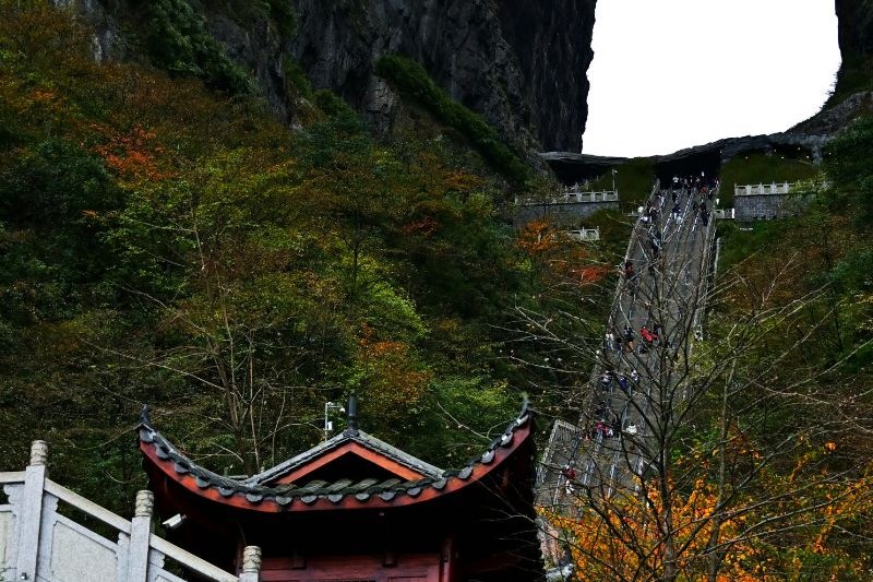 wisata-china-yang-lagi-viral_large.jpg